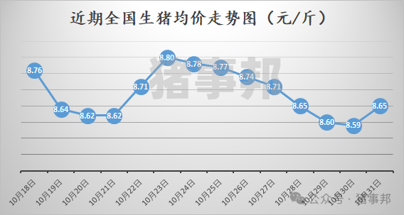 10月31日猪价汇总（多数地区反弹！）